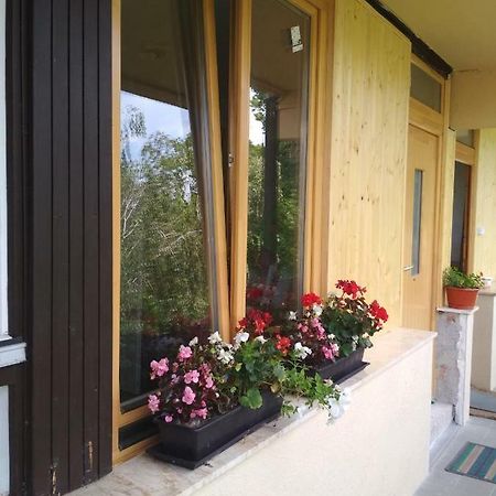 Aradi Apartman Apartment Естергом Екстериор снимка